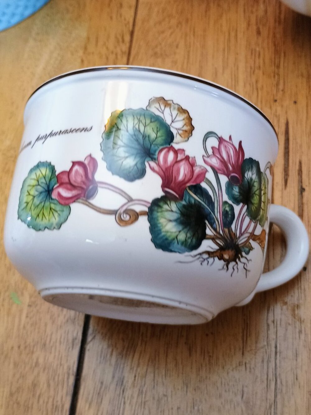 Villeroy & Boch "Botanica" pattern porcelain jumbo cup,